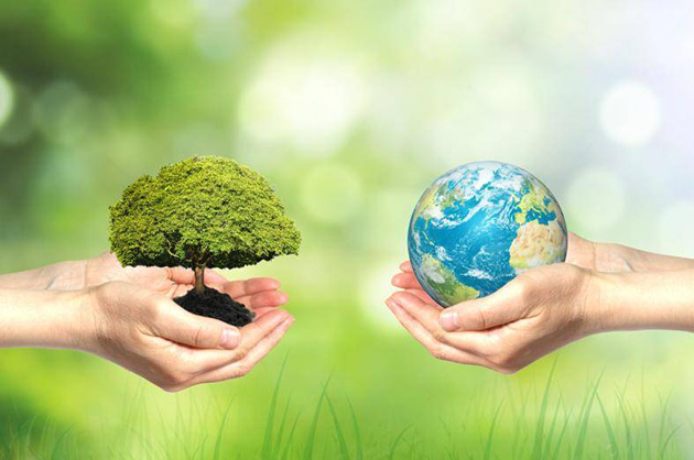 Giá giao dịch thị trường carbon quốc gia bắt đầu từ hôm nay